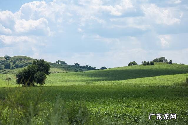九林幺风水 锡林风水