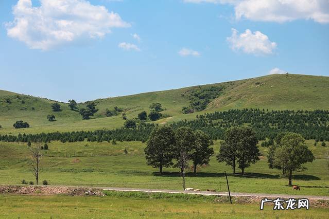 九林幺风水 锡林风水