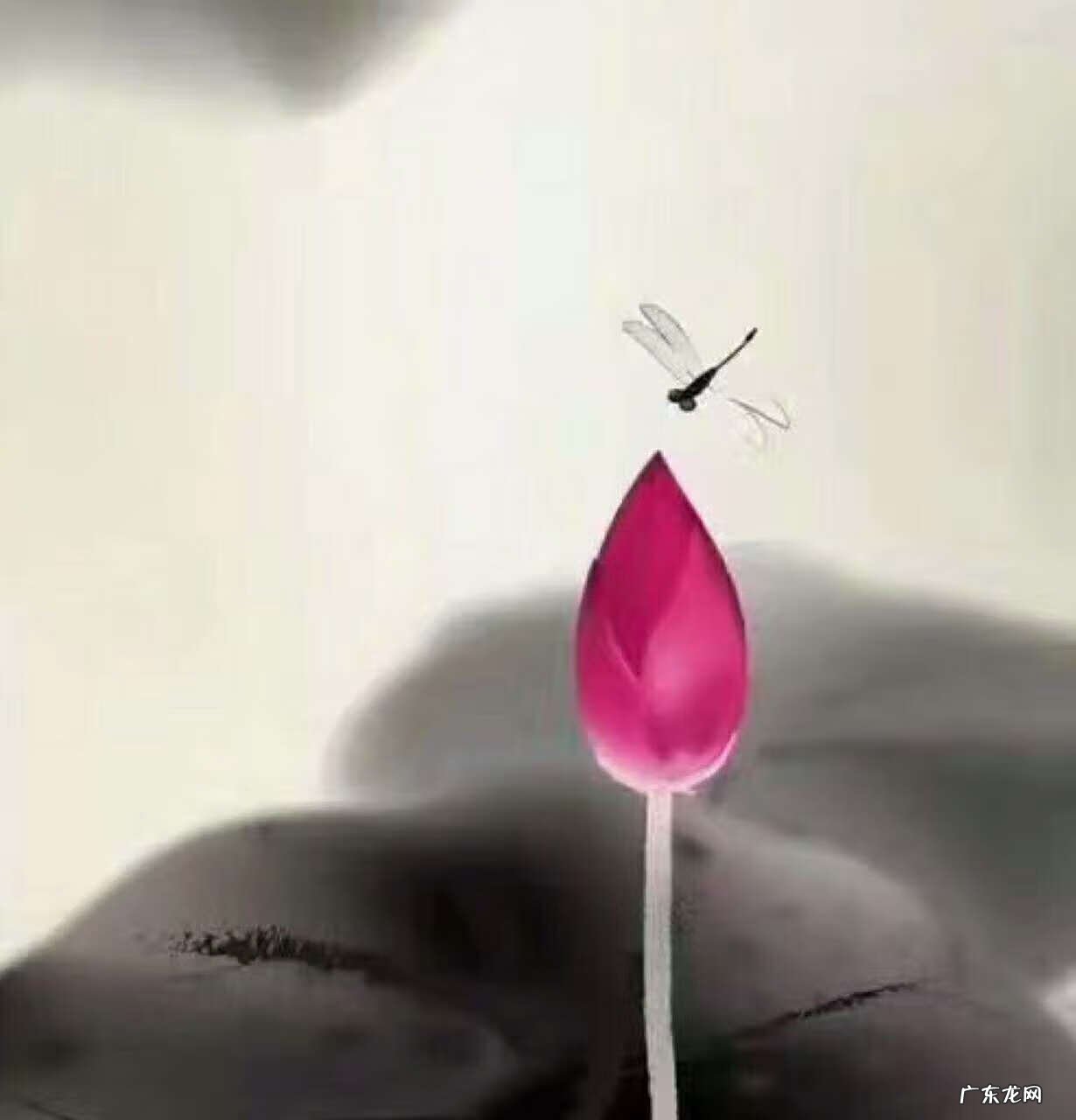 风水大师是道教还是佛教 风水是属于道教吗