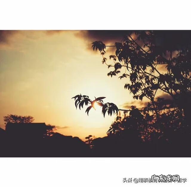 大学出国的利与弊 出国留学的利弊分析