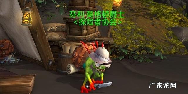 魔兽世界星骓和炉石天马 wow 炉石天马