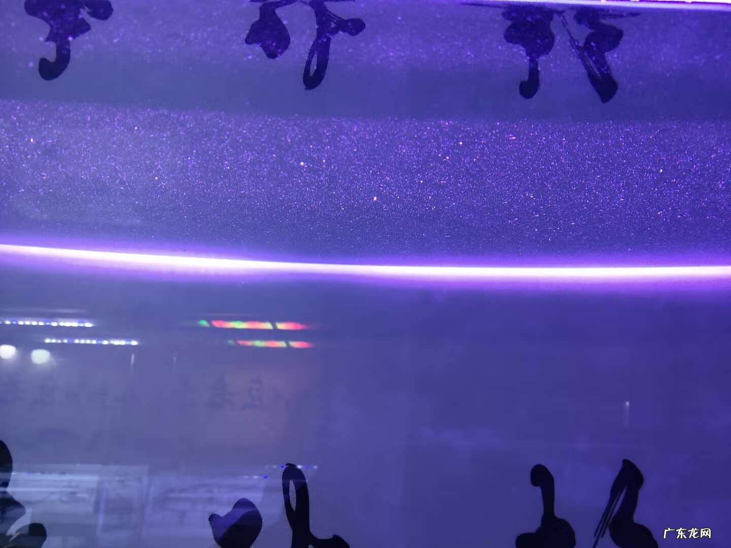 鱼缸裂缝了在风水上来说好吗 鱼缸有裂痕影响风水吗