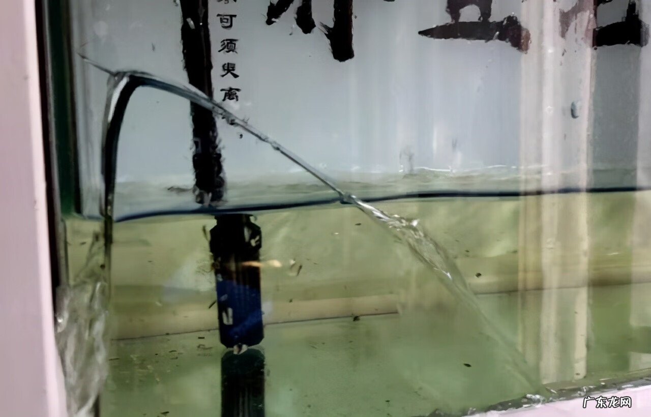 鱼缸裂缝了在风水上来说好吗 鱼缸有裂痕影响风水吗