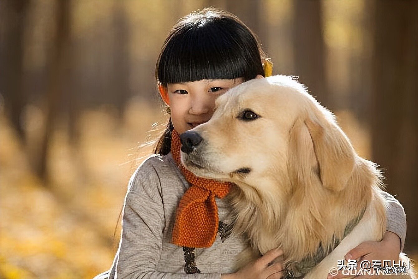 孕妇梦见狗一定生女孩 孕妇梦见狗是什么意思