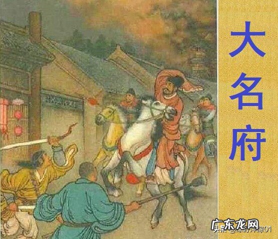 金龙鱼为什么撞鱼缸 龙鱼能把鱼缸撞破吗