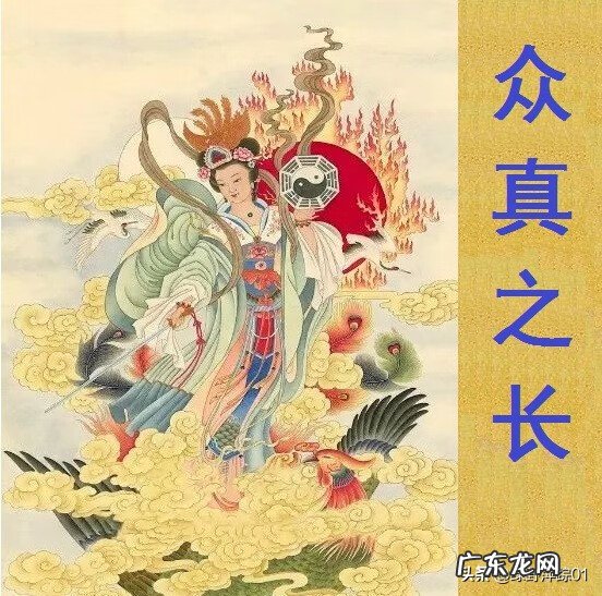 金龙鱼为什么撞鱼缸 龙鱼能把鱼缸撞破吗