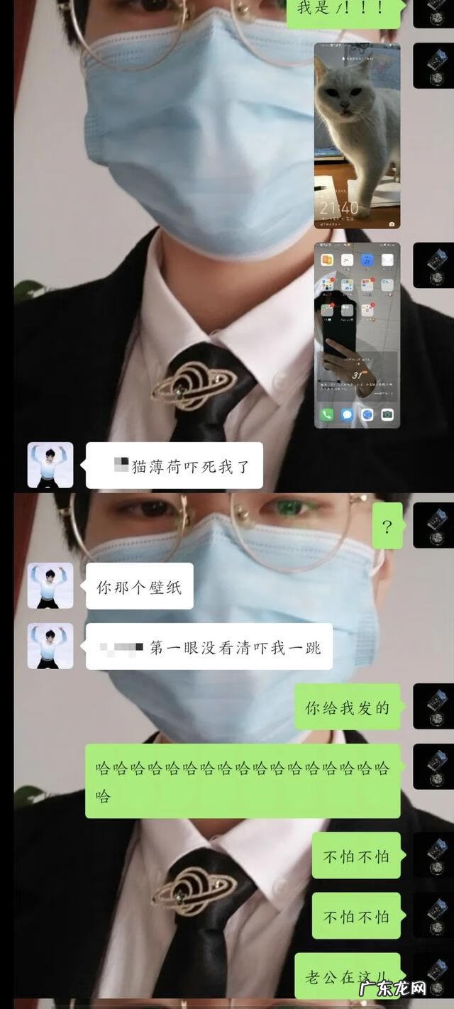 八尾叫什么 八尾狐