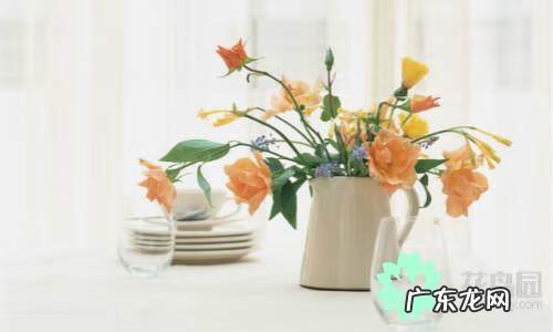 什么植物对风水好 种什么植物风水好