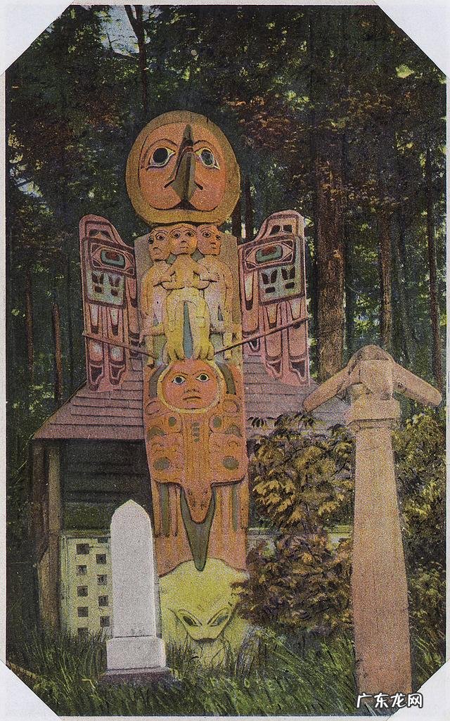 三足乌真实图片 三足乌是什么意思