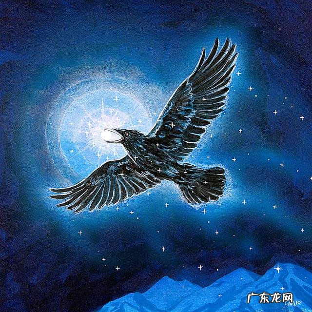 三足乌真实图片 三足乌是什么意思