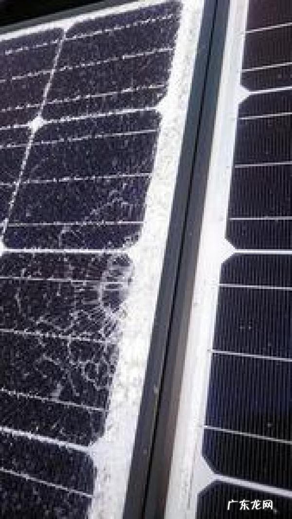 乌鸦落洋风水特征 乌鸦落洋风水解释