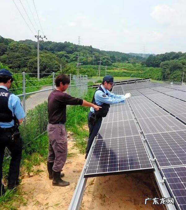 乌鸦落洋风水特征 乌鸦落洋风水解释