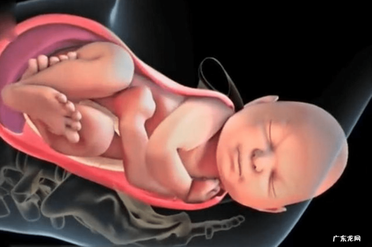 顺产是从哪个部位出来的 顺产是怎么样的?