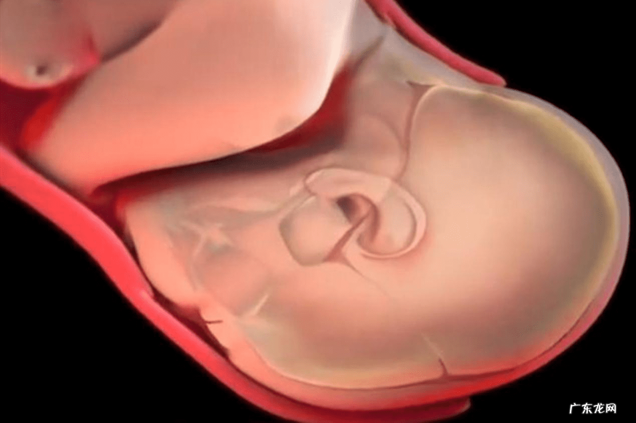 顺产是从哪个部位出来的 顺产是怎么样的?