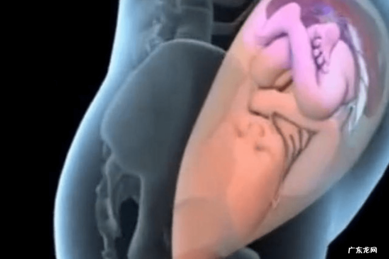 顺产是从哪个部位出来的 顺产是怎么样的?