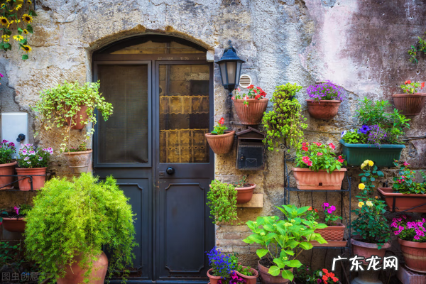 扔药的风水禁忌 屋后种药风水