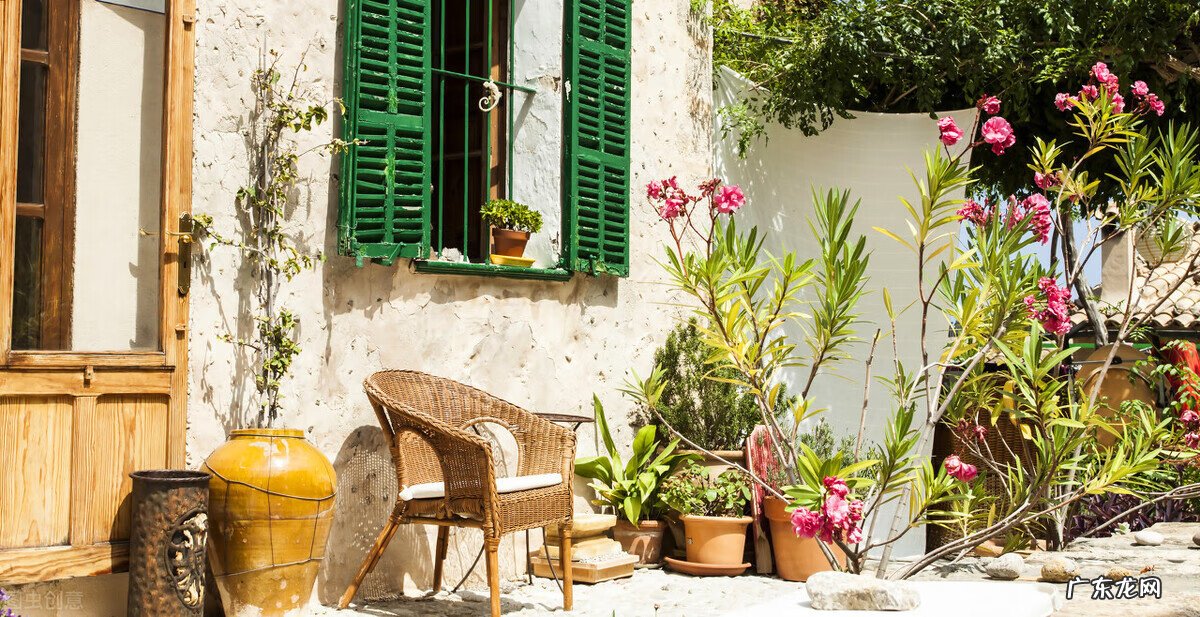 扔药的风水禁忌 屋后种药风水