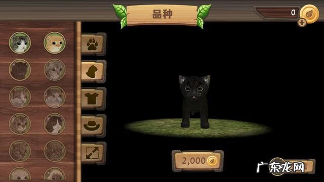 3D单机赛车游戏下载 3D单机游戏下载