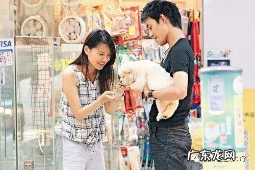 浮华是什么意思 走过浮华大地系列