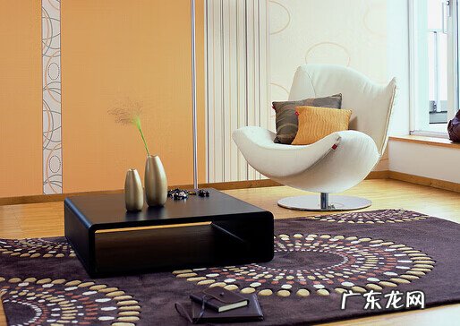 地毯下的尘土阅读答案 地毯下的尘土主要内容