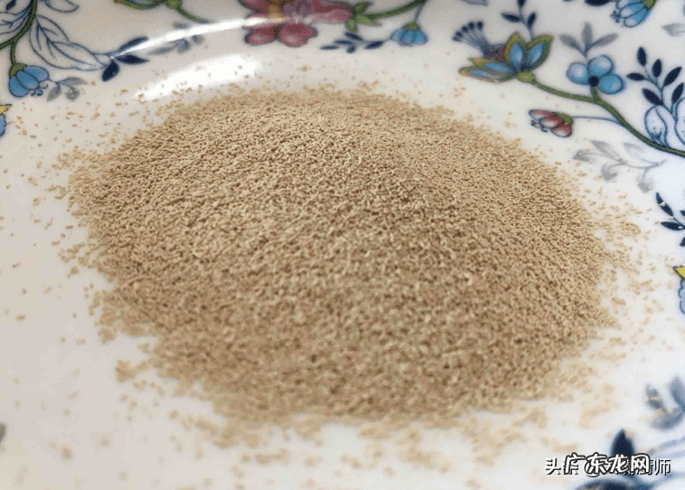 酵母粉是什么做的 酵母粉是什么意思