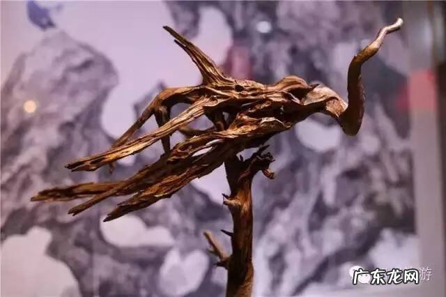 相城区学校绿化养护风水知识