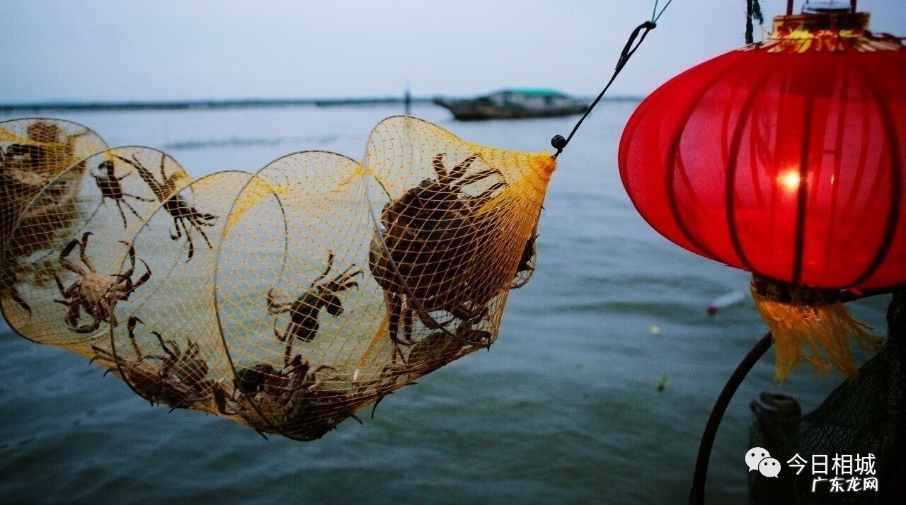 相城区学校绿化养护风水知识
