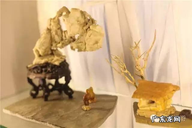 相城区学校绿化养护风水知识