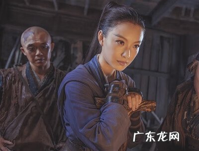 蝴蝶门风水 雾隐门之奇门遁甲