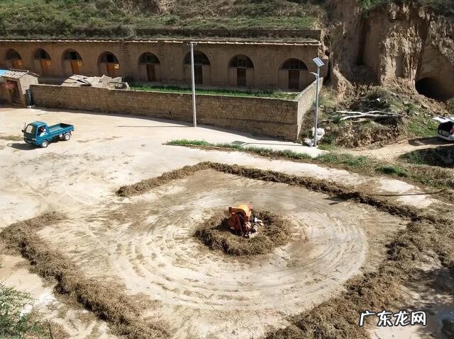 日本漂移车手都有谁 漂移车手怎么赚钱