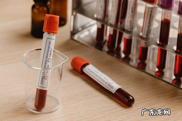 dna鉴定多少钱 dna鉴定大概多少钱