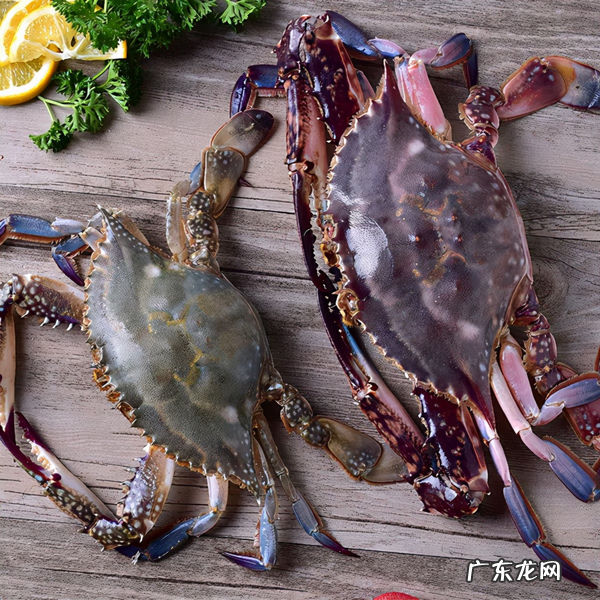 为什么螃蟹死了不能吃 螃蟹死了能不能吃呀