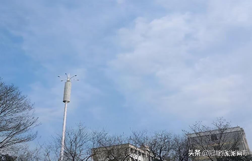 计算机专业学什么内容 计算机专业课程有哪些