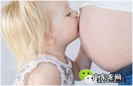 鸽子汤能下奶吗 鸽子汤真的下奶吗?