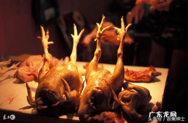 吃鸡的特殊意思 晚上吃鸡是什么意思