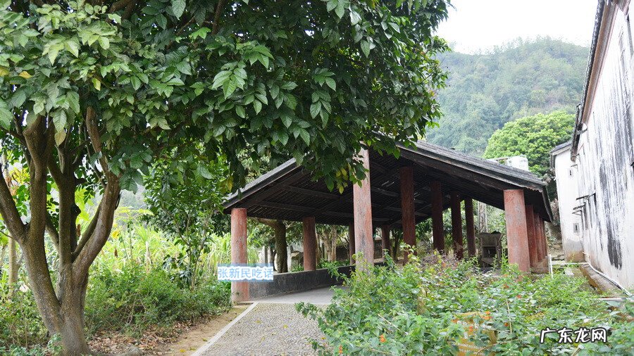 光禄典故 大埔光禄第风水