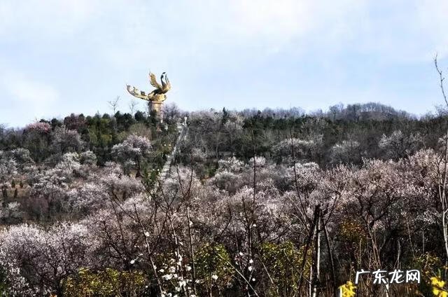 封神系列动画 新封神榜传奇之