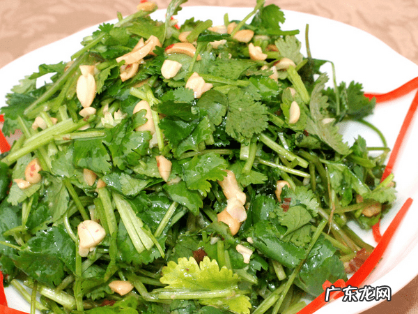 吃香菜的好处和坏处 香菜的功效与作用及营养价值