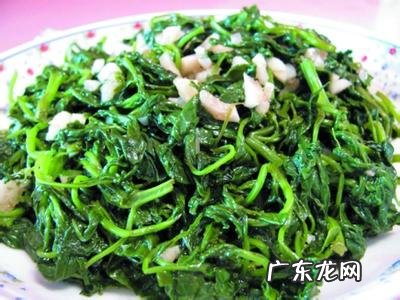 灰灰菜的家常做法 灰菜有什么功效与作用