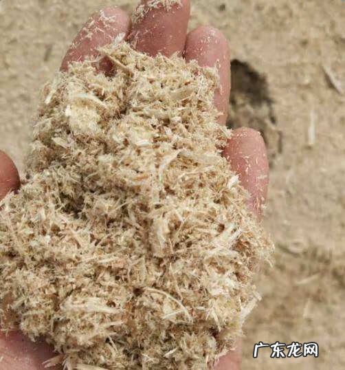 4样东西不能捡 风水先生提醒:不可捡的4样东西