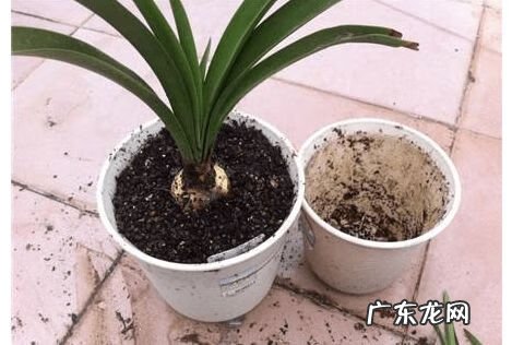 4样东西不能捡 风水先生提醒:不可捡的4样东西