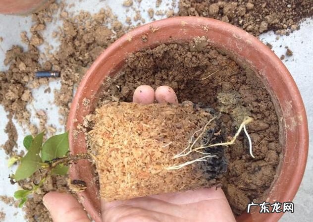 4样东西不能捡 风水先生提醒:不可捡的4样东西