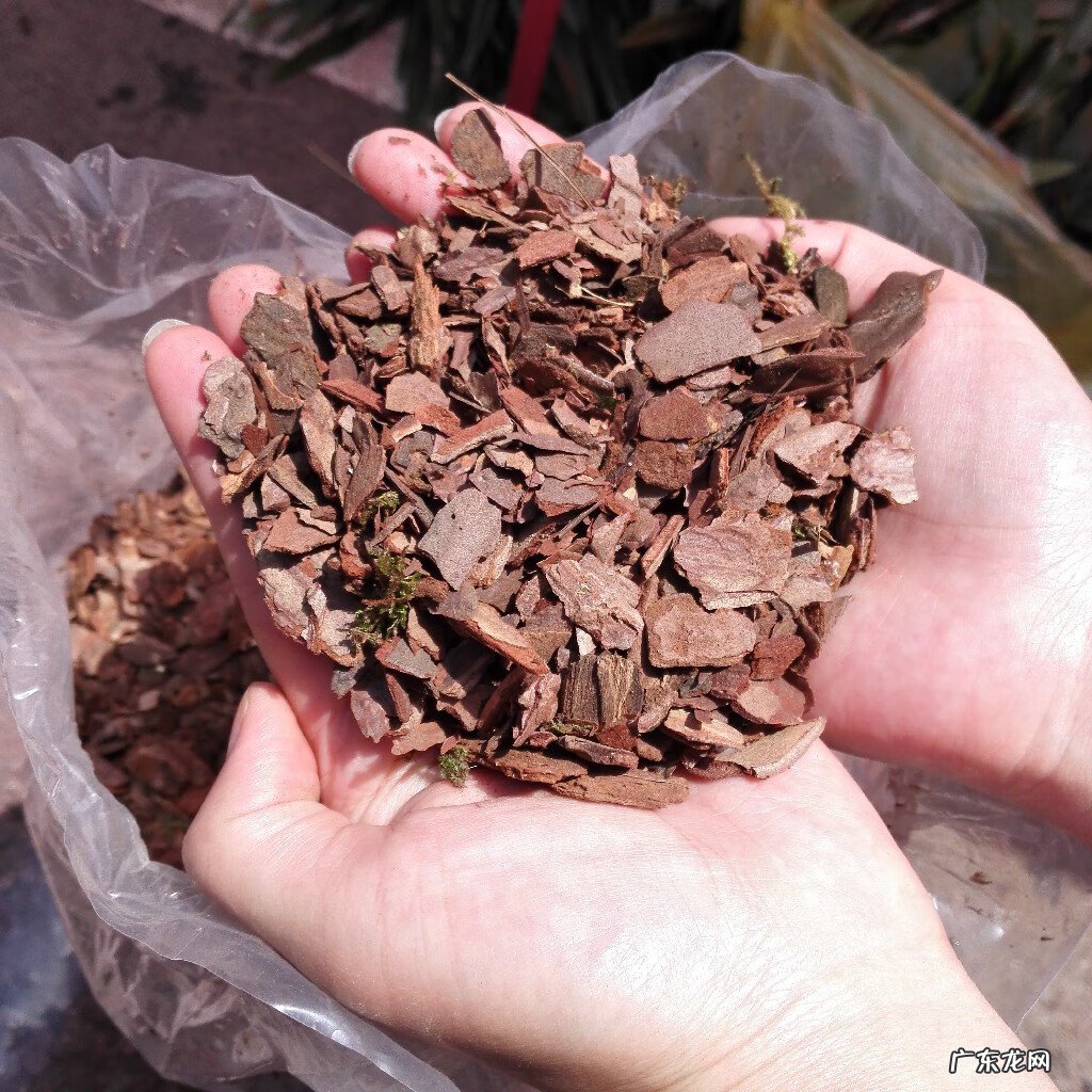 4样东西不能捡 风水先生提醒:不可捡的4样东西