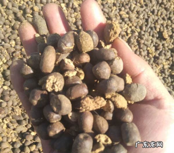 4样东西不能捡 风水先生提醒:不可捡的4样东西