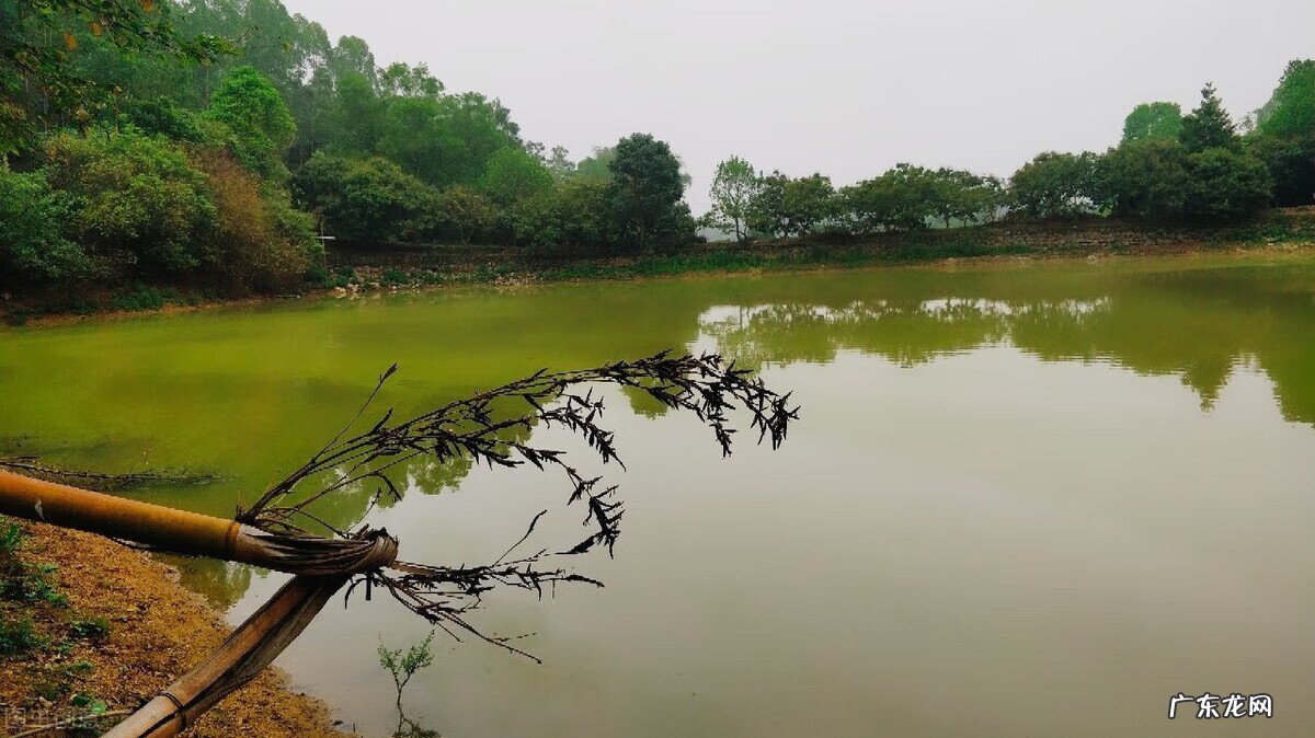 风水学最好的朝山 风水学山是尖好 还是圆好