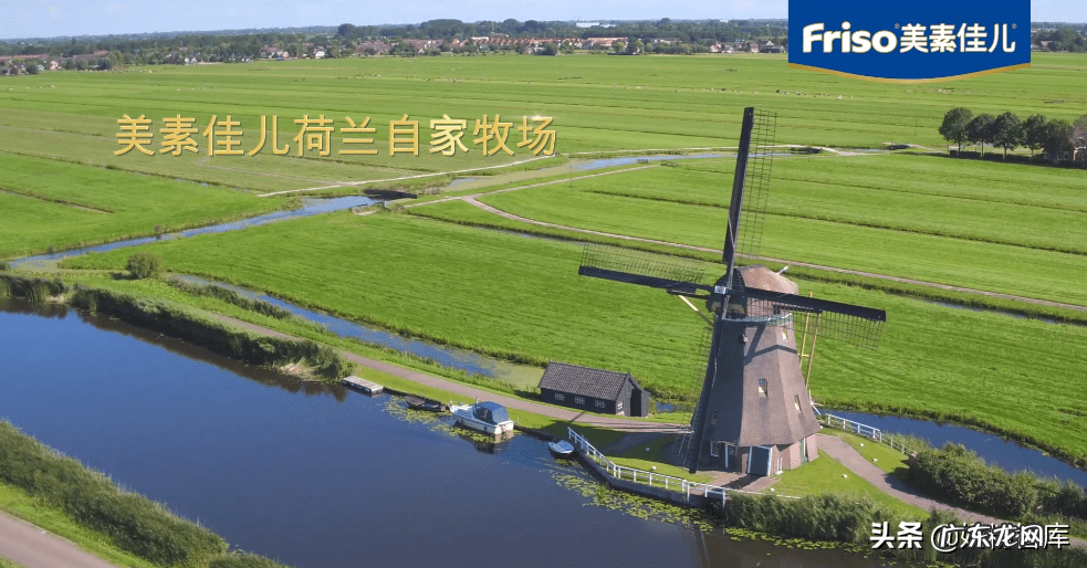 美素力奶粉怎么样 美素奶粉到底好不好