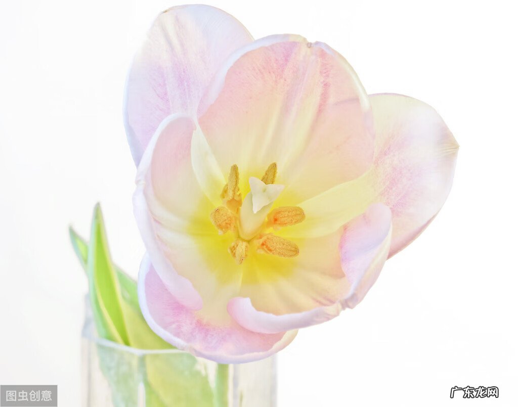 卵巢囊肿这个病是怎么回事 什么是卵巢囊肿?