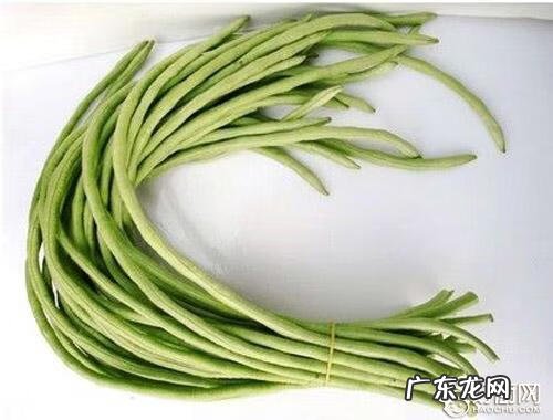 豇豆的功效与作用营养价值 豇豆的营养价值是什么