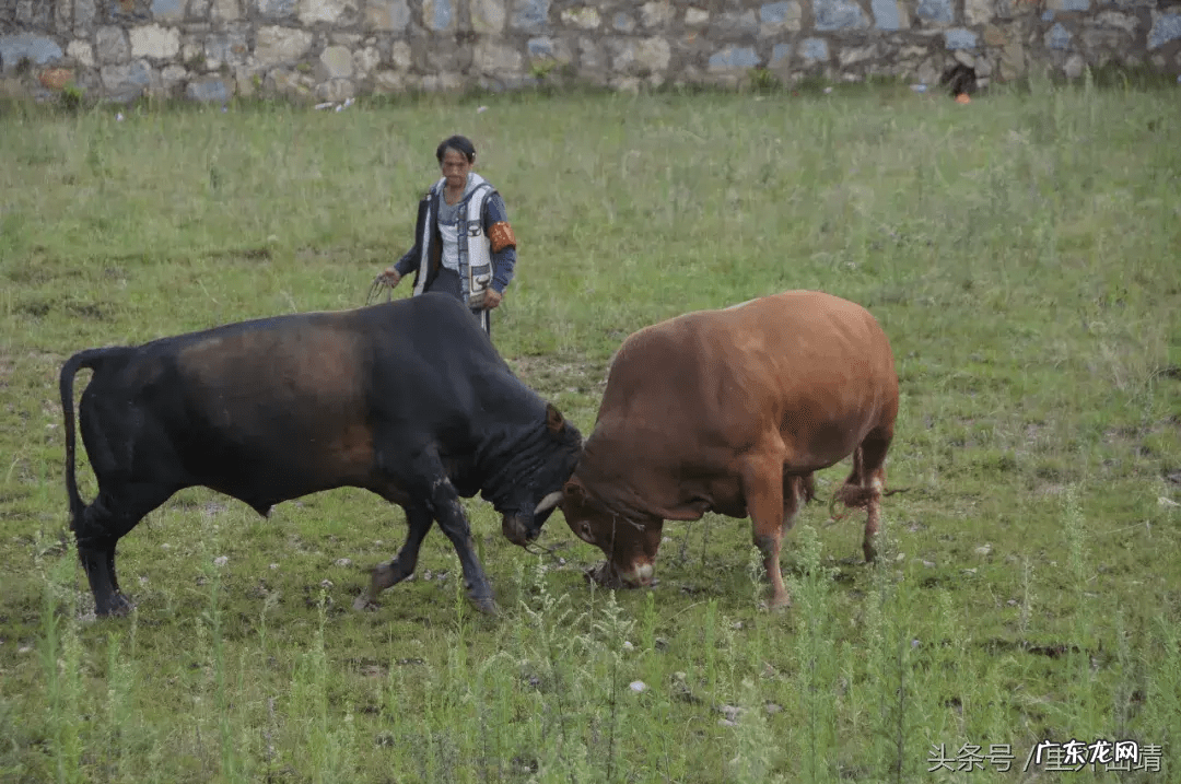 云南省宣威市龙脉风水