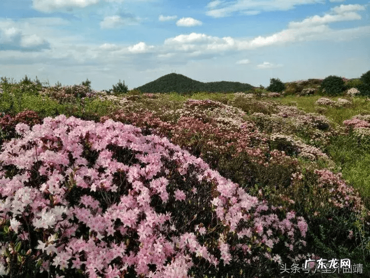 云南省宣威市龙脉风水